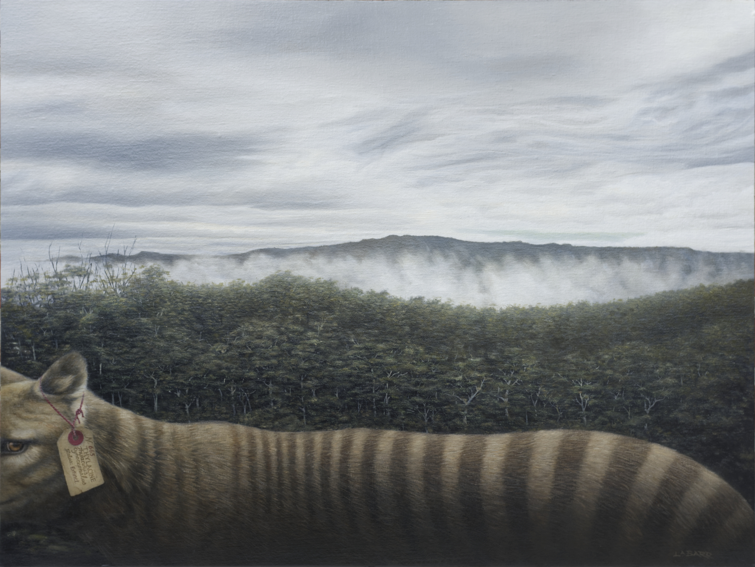 Painting of Thylacine in Tasmanian landscape.