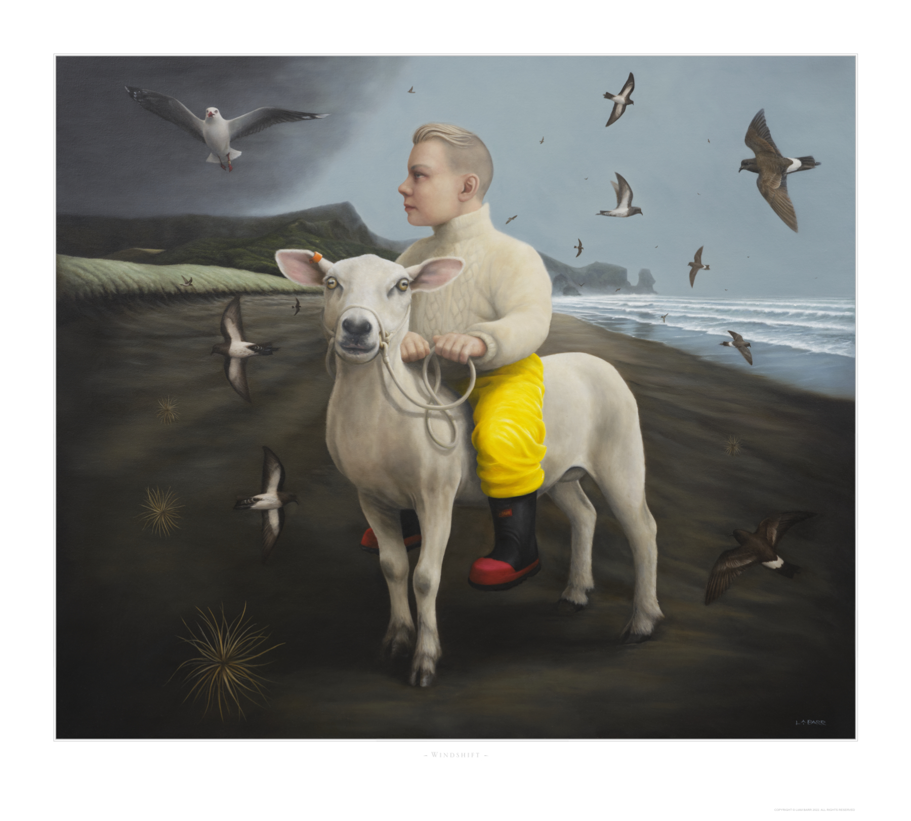 Child sitting on a sheep